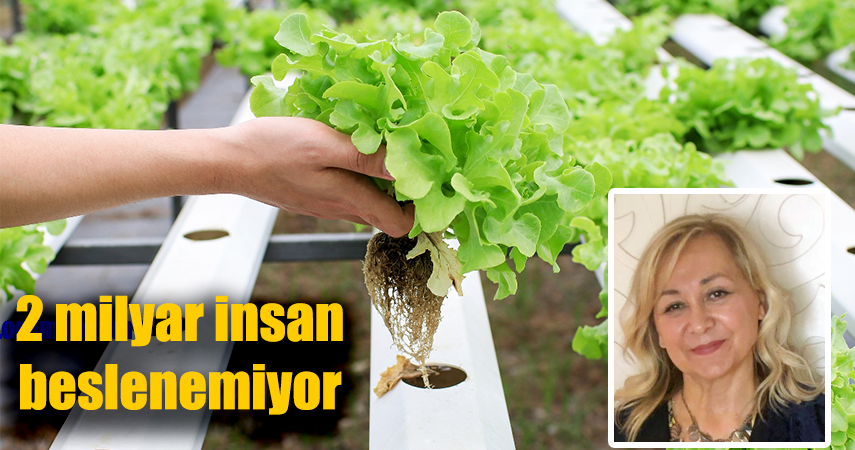 İyi Tarım Uygulamasında üretim 100 kat arttı
