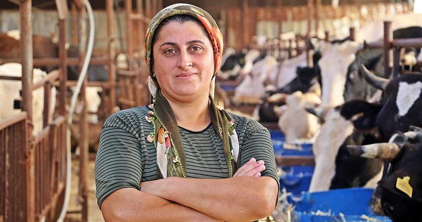 ‘Yapamazsın’ diyenlere inat 4 bilezikle hayvancılık işine girdi, milyonluk servet sahibi oldu