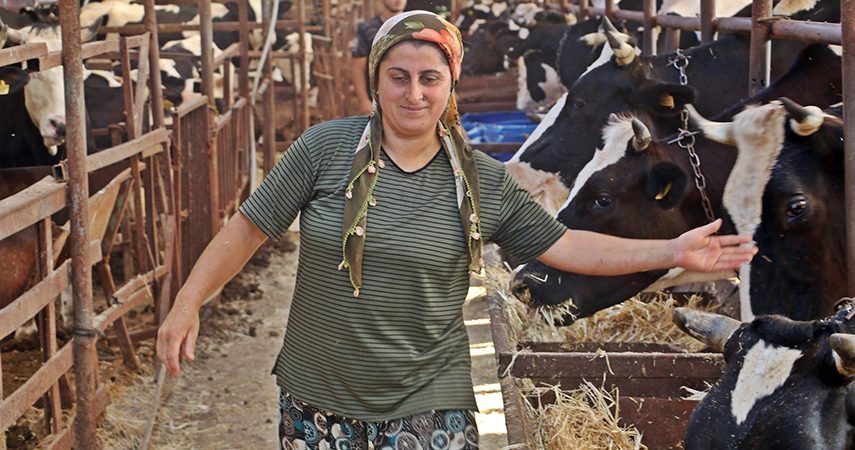 ‘Yapamazsın’ diyenlere inat 4 bilezikle hayvancılık işine girdi, milyonluk servet sahibi oldu