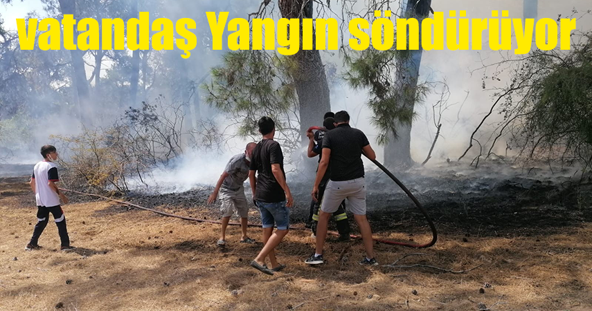 Vatandaşlar ellerinde dallar ve yerden topladıkları kumlarla yangına müdahale etti