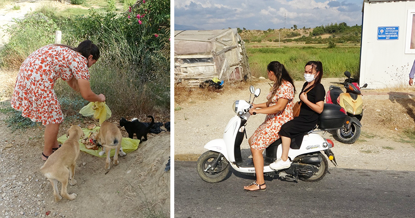 Garsonluk yaptıkları otelde çöpe atılan yemeklerle sokak köpeklerini besliyorlar