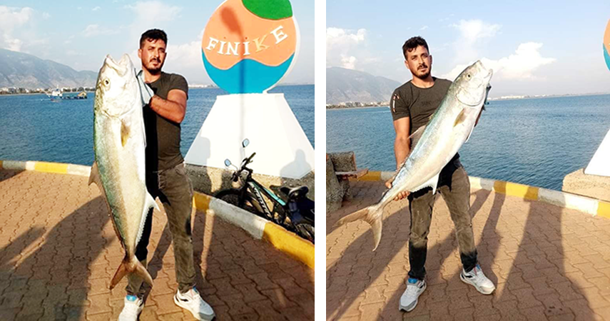 Kıyıdan 17 kiloluk kuzu balığı avladı
