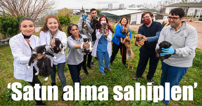 Muratpaşa 368 kedi ve köpeği sahiplendirdi.