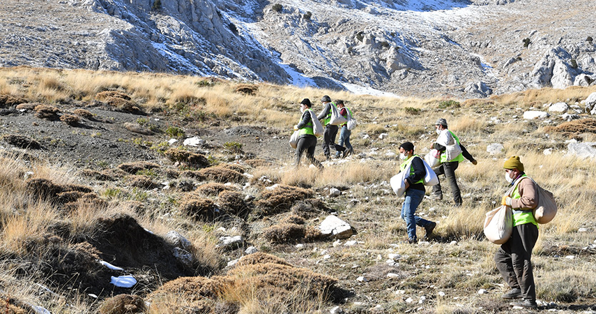 Hayvanlar için 1200 dekara gübre