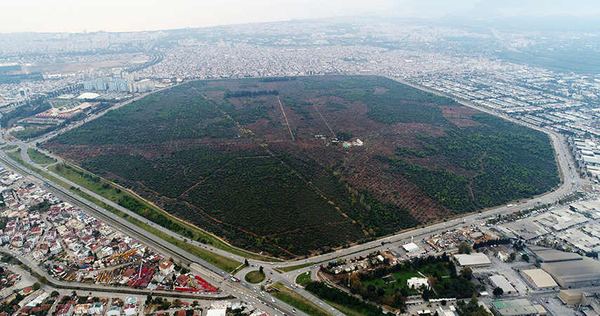 Zeytinpark'da Klip çekimi