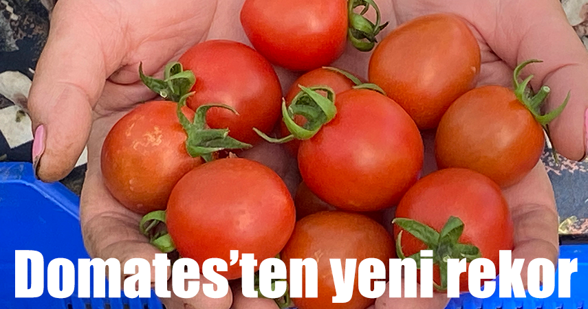 ATB Nisan ayı hal endeksini açıkladı
