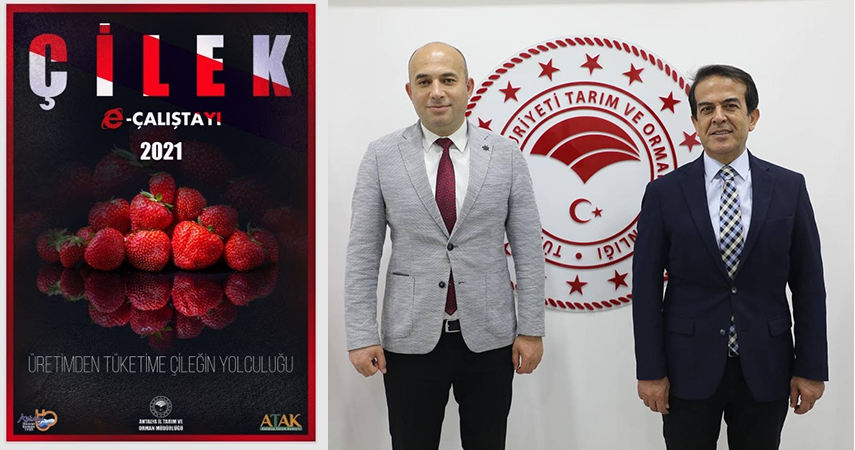 Çilek Kitap oldu